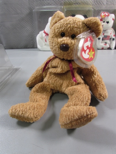 TY BEANIE BABIES - ASST BEARS IN PROTECTIVE CASES