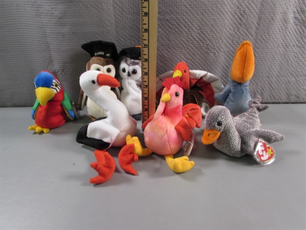 TY BEANIE BABIES - BIRDS