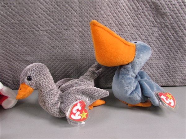 TY BEANIE BABIES - BIRDS