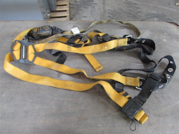 SAFETY HARNESS & LIFELINE