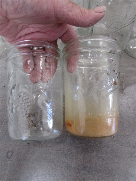 CANNING JARS