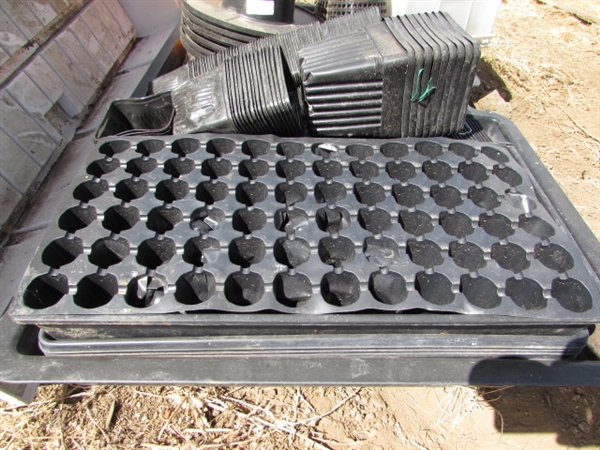 SEED STARTING TRAYS & MORE