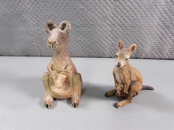 KANGAROO COLLECTION