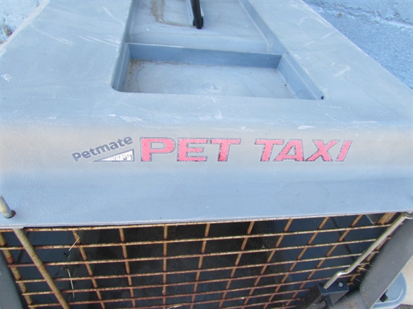 PET TAXI & BONE SHAPED CONTAINER