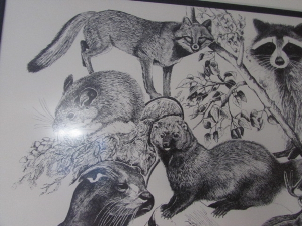 LIMITED EDITION PRINT 11/150 SISKIYOU COUNTY MAMMALS PEN & INK BY J. RUSSELL