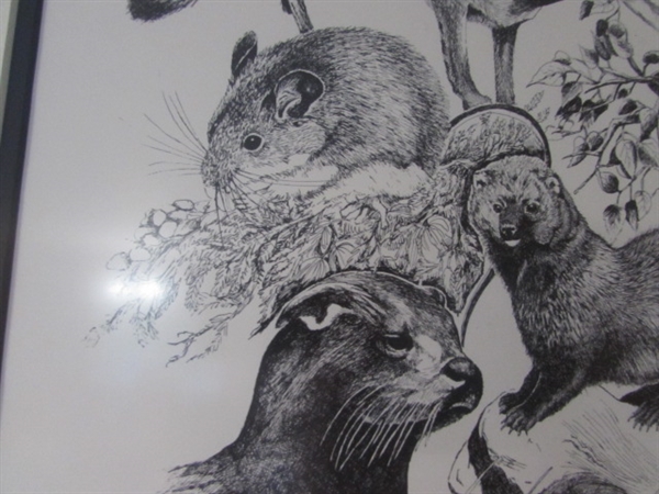 LIMITED EDITION PRINT 11/150 SISKIYOU COUNTY MAMMALS PEN & INK BY J. RUSSELL