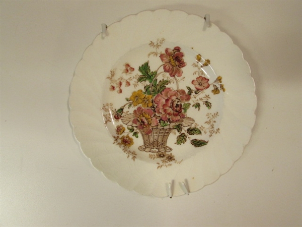 PLATE DISPLAY & DECORATIVE PLATES