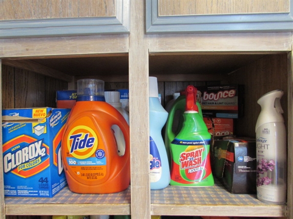 CONTENTS OF LAUNDRY PRODUCTS SHELF