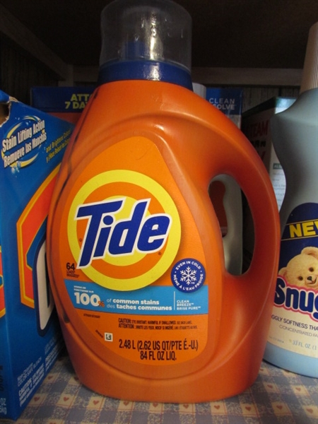 CONTENTS OF LAUNDRY PRODUCTS SHELF