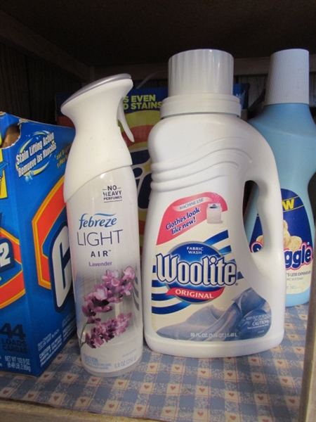 CONTENTS OF LAUNDRY PRODUCTS SHELF