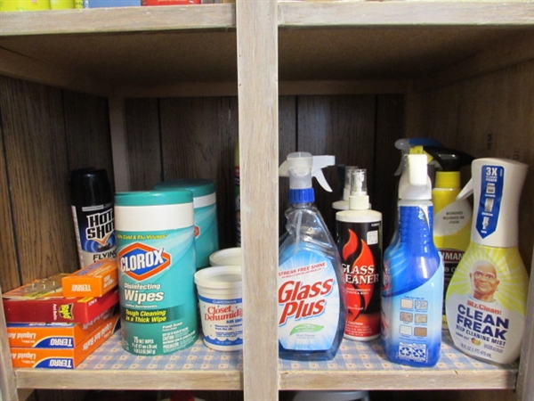 CONTENTS OF CLEANING SUPPLIES SHELF