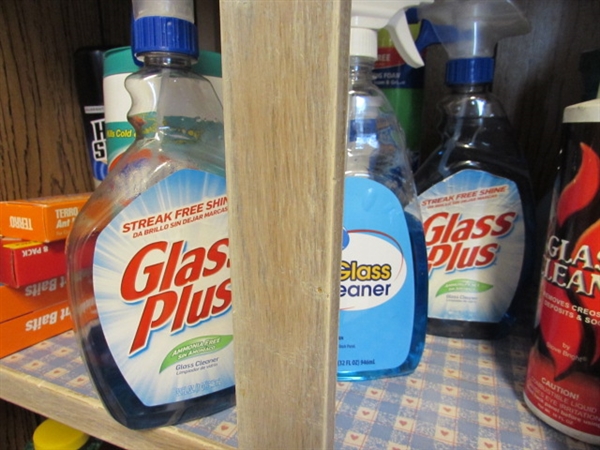 CONTENTS OF CLEANING SUPPLIES SHELF