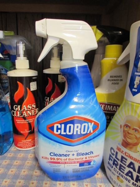 CONTENTS OF CLEANING SUPPLIES SHELF