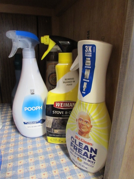 CONTENTS OF CLEANING SUPPLIES SHELF