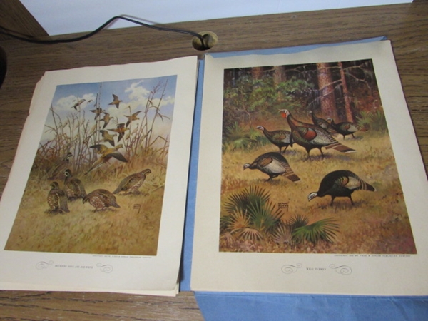 VINTAGE GAME BIRD PRINT SET, BOOKS AND MORE