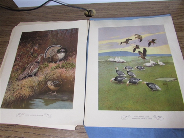 VINTAGE GAME BIRD PRINT SET, BOOKS AND MORE