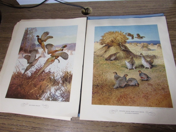 VINTAGE GAME BIRD PRINT SET, BOOKS AND MORE