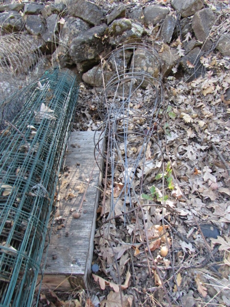 LOTS OF WIRE PLANT CAGES, TOMATO CAGES, CHICKEN WIRE & MORE