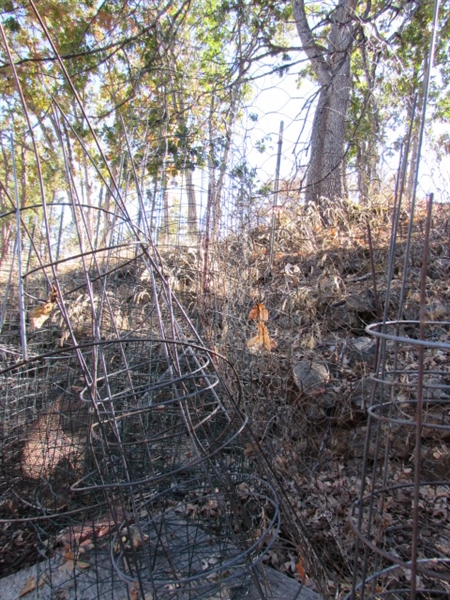 LOTS OF WIRE PLANT CAGES, TOMATO CAGES, CHICKEN WIRE & MORE