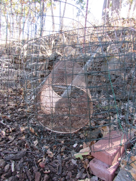 LOTS OF WIRE PLANT CAGES, TOMATO CAGES, CHICKEN WIRE & MORE