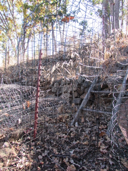 LOTS OF WIRE PLANT CAGES, TOMATO CAGES, CHICKEN WIRE & MORE