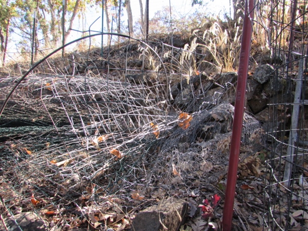 LOTS OF WIRE PLANT CAGES, TOMATO CAGES, CHICKEN WIRE & MORE