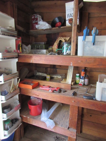 CONTENTS OF SHED SHELVES