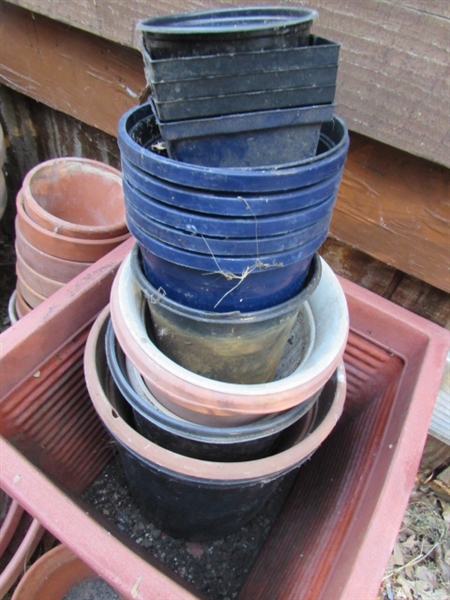 PLASTIC & TERRA COTTA POTS