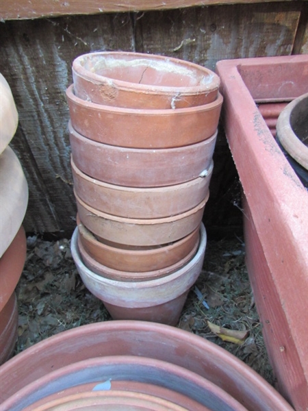 PLASTIC & TERRA COTTA POTS