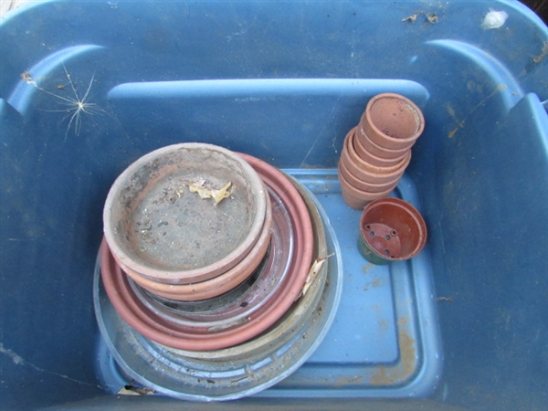 PLASTIC & TERRA COTTA POTS