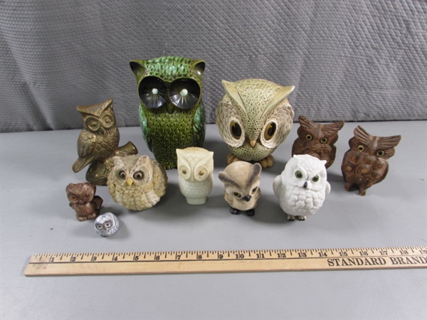 OWL COLLECTION