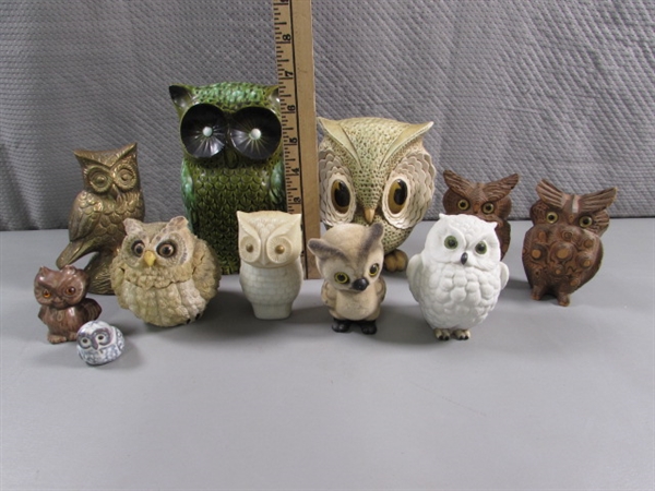 OWL COLLECTION