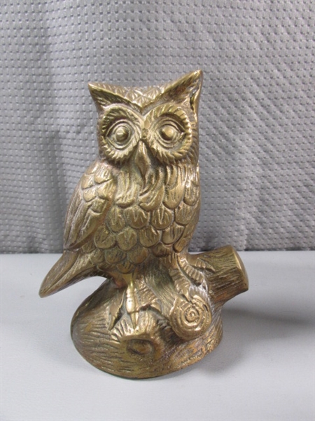 OWL COLLECTION