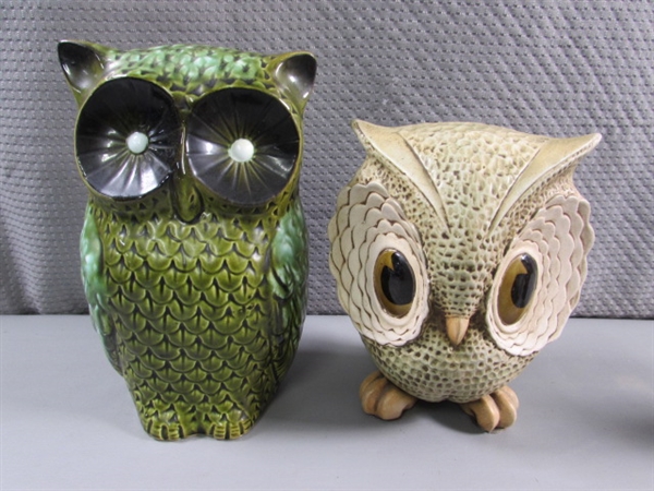 OWL COLLECTION