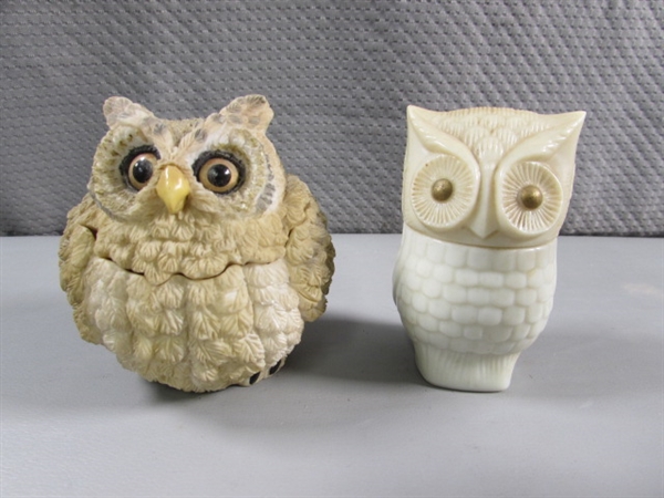 OWL COLLECTION