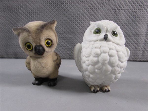 OWL COLLECTION