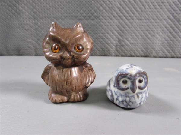 OWL COLLECTION