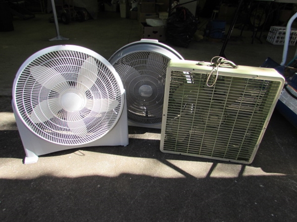 3 FANS