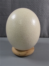 OSTRICH EGG (EMPTY)