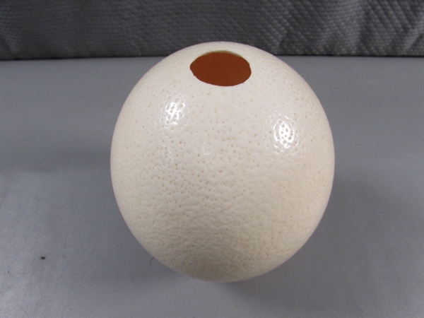 OSTRICH EGG (EMPTY)