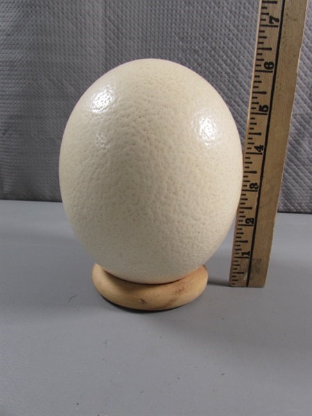 OSTRICH EGG (EMPTY)