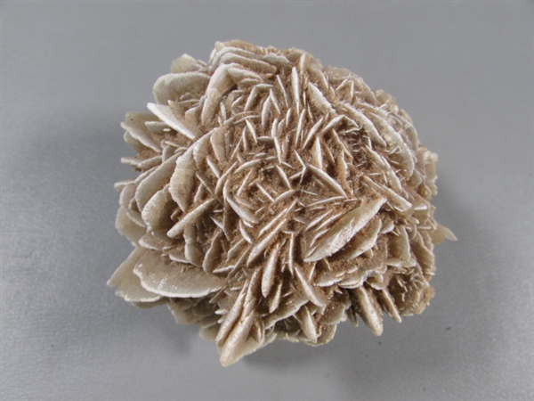 DESERT ROSE SELENITE SPECIMEN