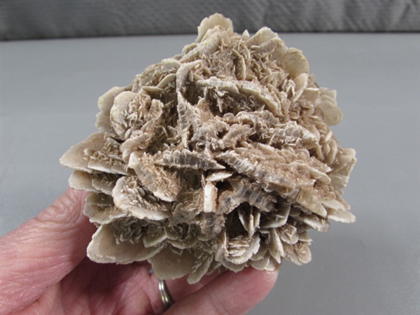 DESERT ROSE SELENITE SPECIMEN