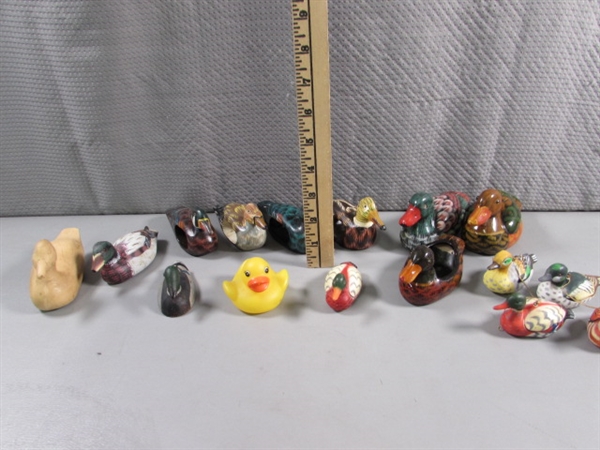 DUCK COLLECTION