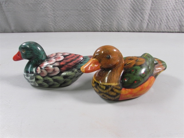 DUCK COLLECTION