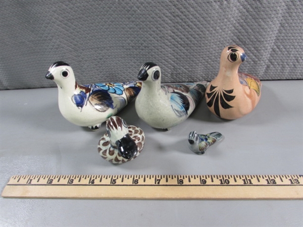 MEXICAN BIRD COLLECTION