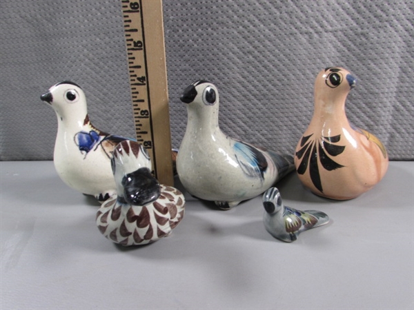 MEXICAN BIRD COLLECTION