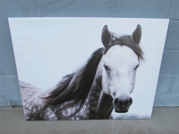 LARGE CANVAS HORSE PRINT