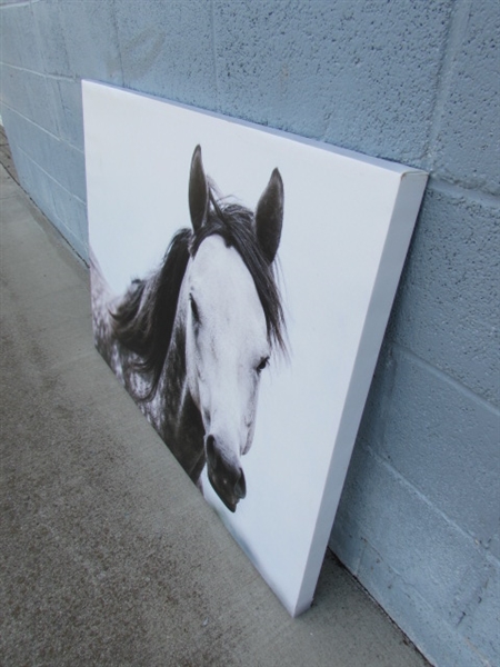 LARGE CANVAS HORSE PRINT