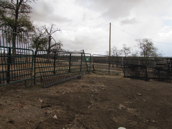 APPROX. 80' OF WROUGHT IRON FENCING PANELS